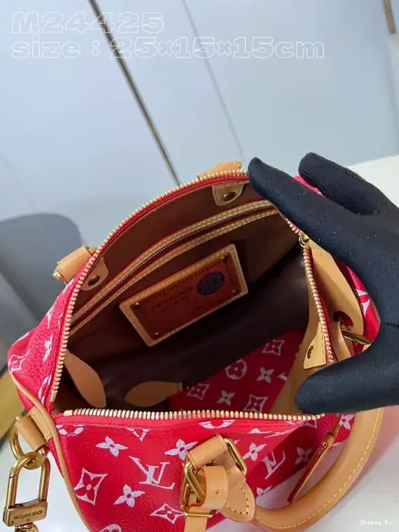 25 Vuitton Louis SPEEDY 0524